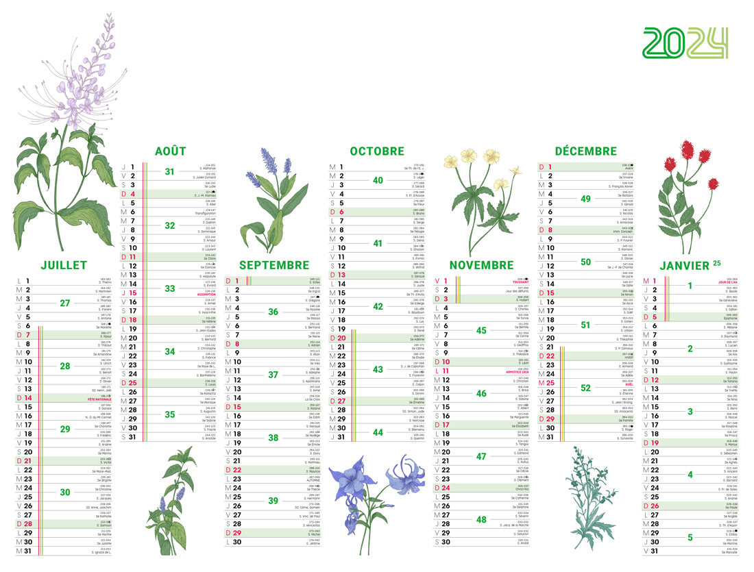 Calendrier bancaire publicitaire souple Herbarium. Existe en formats : 42x59,4 cm, 42x29,7 cm, 29,7x21 cm. Repiquage 1 couleur ou quadrichromie.